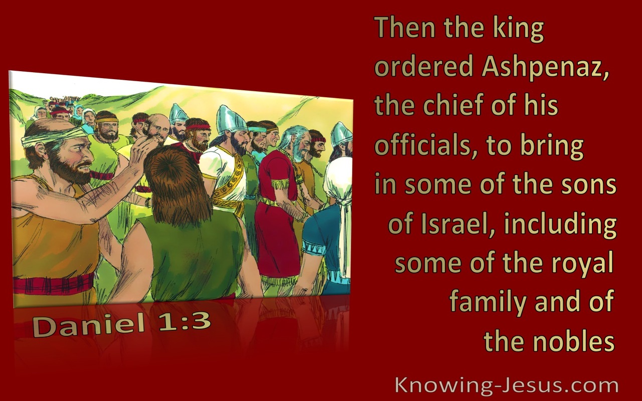 Daniel 1:3 The King Ordered Some Of The Royal Family And Of The Nobles To Be Brought (maroon)